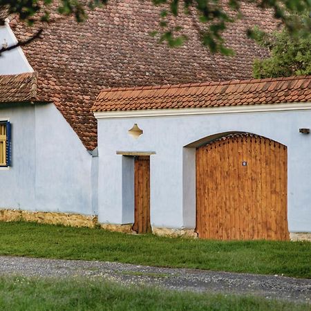 Experience Transylvania Viscri 161A 外观 照片